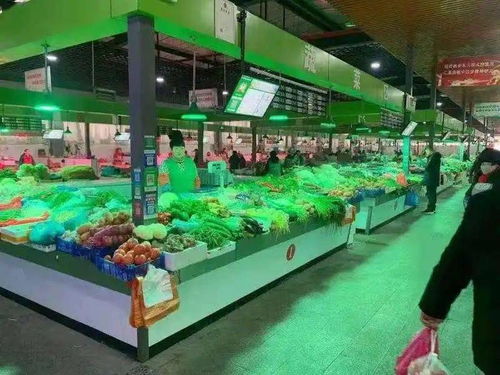 市場監(jiān)管新春行 食品安全四大行動守護佳節(jié)，休閑觀光活動惠民生
